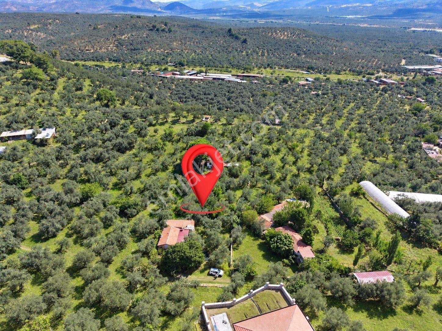 Mera Emlaktan Havran Temaşalık Mh. 235m2 4 Villalık İmarlı Arsa — fotoğraf 13