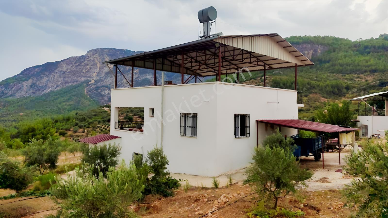 Silifke Karakayada 16 Dönüm İçinde Eşyalı Ev & Zeytinlik