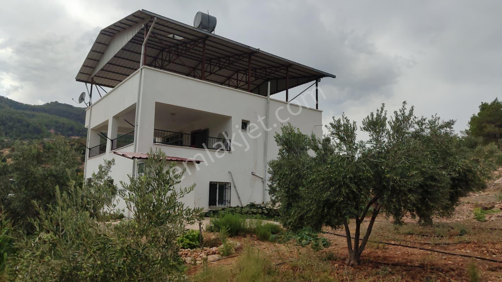 Silifke Karakayada 16 Dönüm İçinde Eşyalı Ev & Zeytinlik — fotoğraf 3