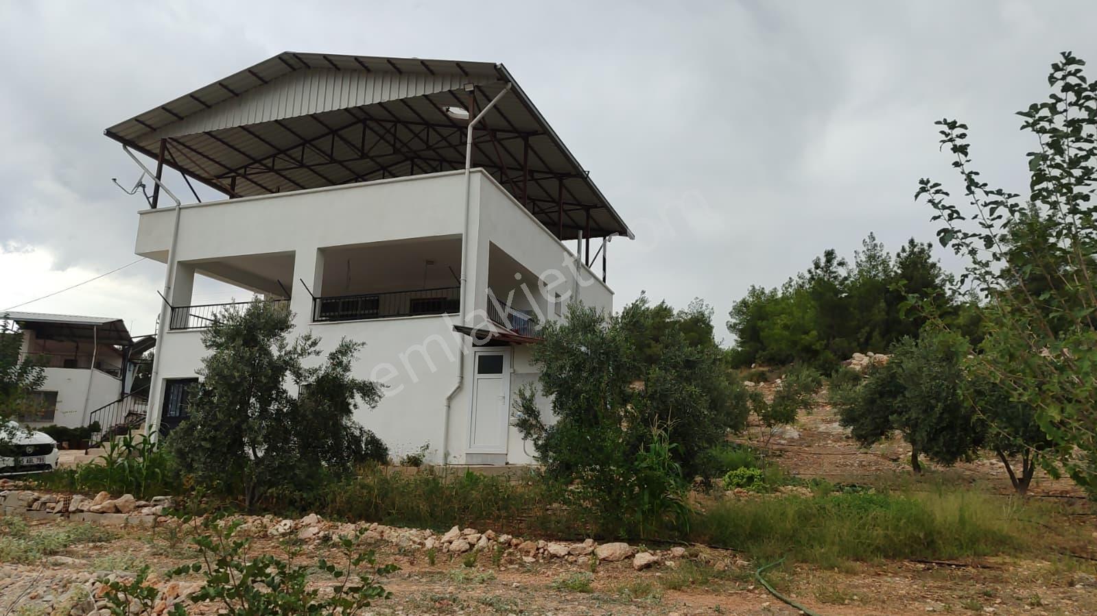 Silifke Karakayada 16 Dönüm İçinde Eşyalı Ev & Zeytinlik — fotoğraf 5