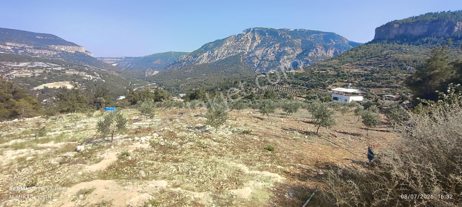 Silifke Karakayada 16 Dönüm İçinde Eşyalı Ev & Zeytinlik — fotoğraf 6