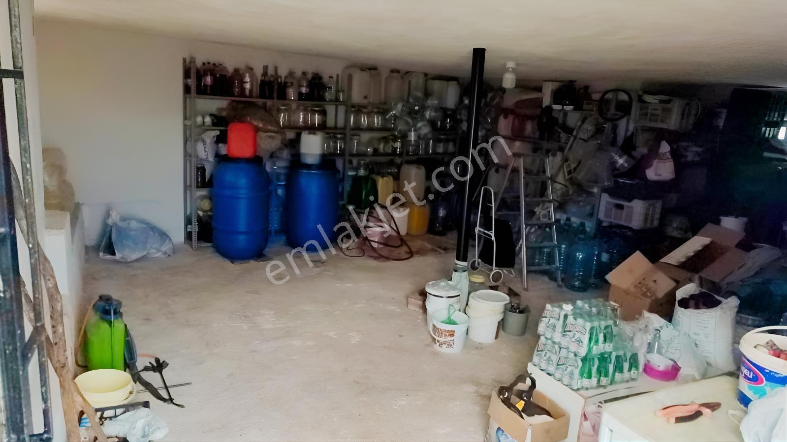 Silifke Karakayada 16 Dönüm İçinde Eşyalı Ev & Zeytinlik — fotoğraf 8