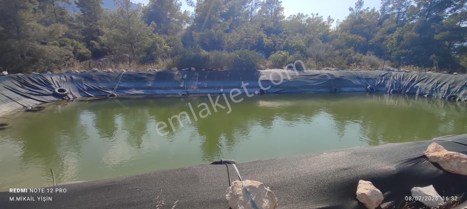 Silifke Karakayada 16 Dönüm İçinde Eşyalı Ev & Zeytinlik — fotoğraf 12