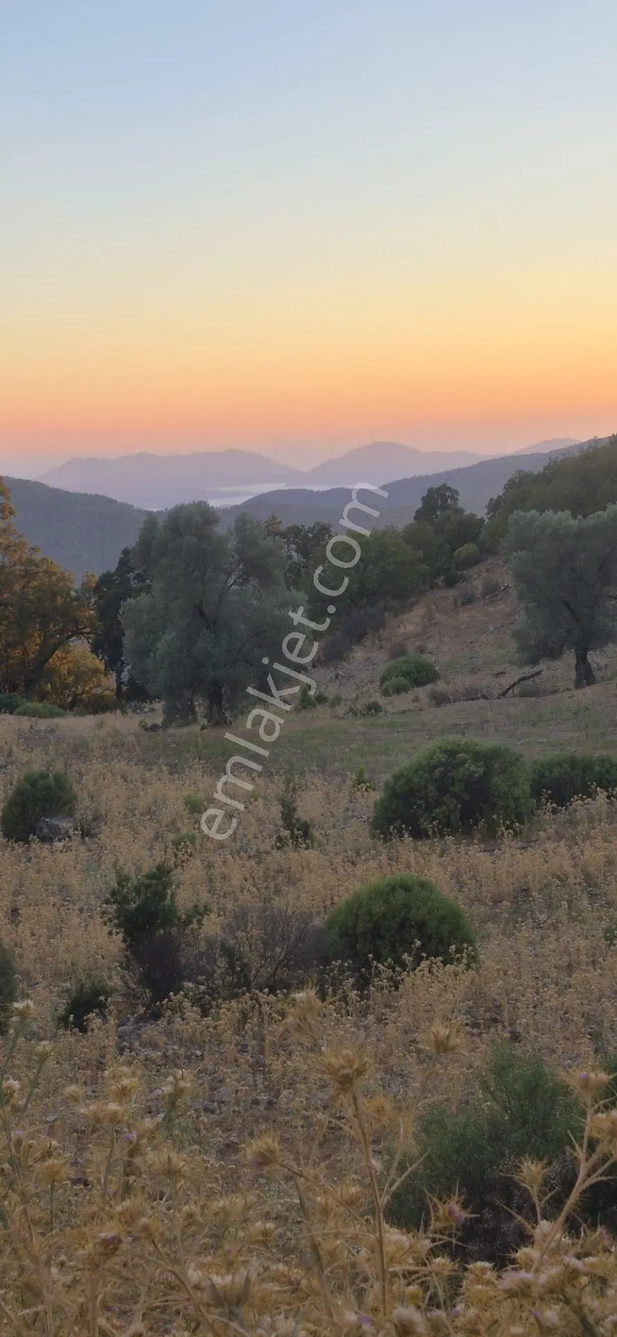 Fethiye Nıf Mah Gedre Mevkı Satılık 7.800m2 Arazı — fotoğraf 4