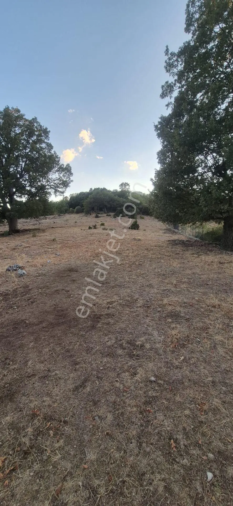 Fethiye Nıf Mah Gedre Mevkı Satılık 7.800m2 Arazı — fotoğraf 5