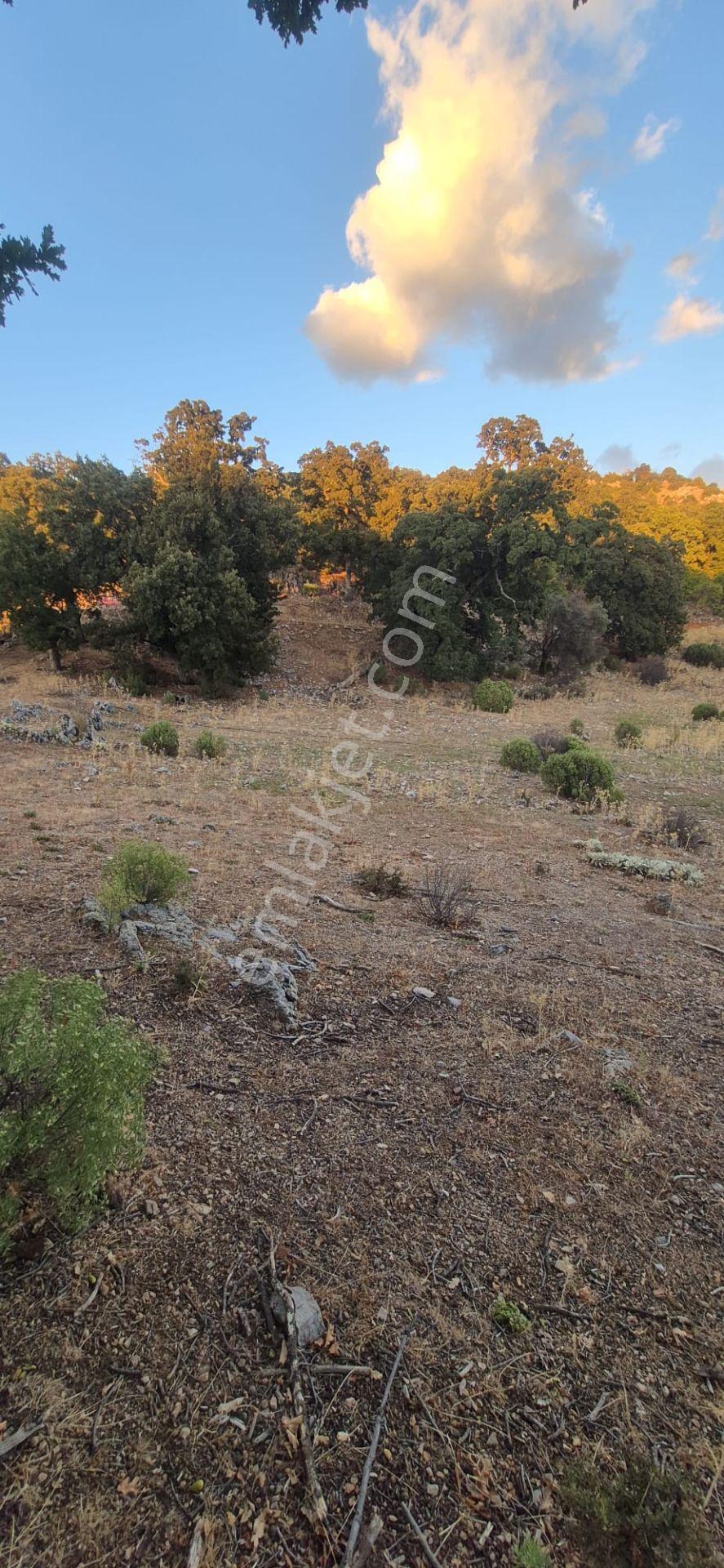Fethiye Nıf Mah Gedre Mevkı Satılık 7.800m2 Arazı — fotoğraf 6