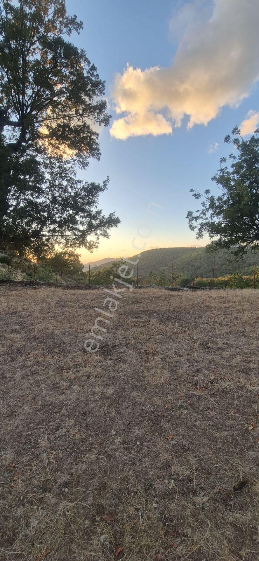 Fethiye Nıf Mah Gedre Mevkı Satılık 7.800m2 Arazı — fotoğraf 7