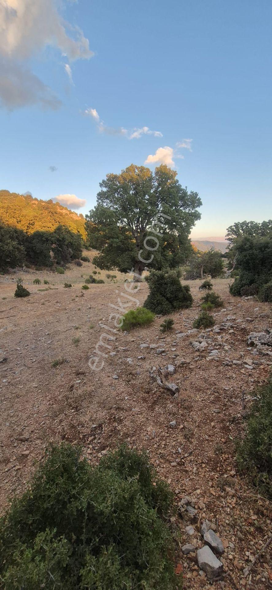 Fethiye Nıf Mah Gedre Mevkı Satılık 7.800m2 Arazı — fotoğraf 10