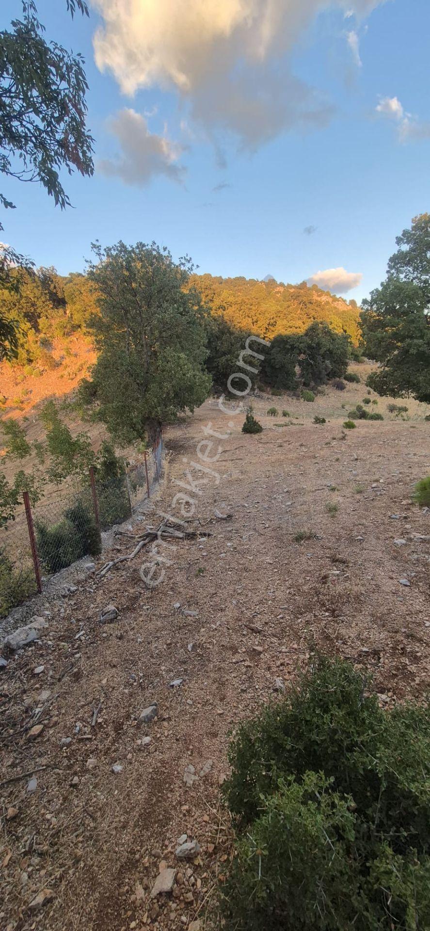 Fethiye Nıf Mah Gedre Mevkı Satılık 7.800m2 Arazı — fotoğraf 11