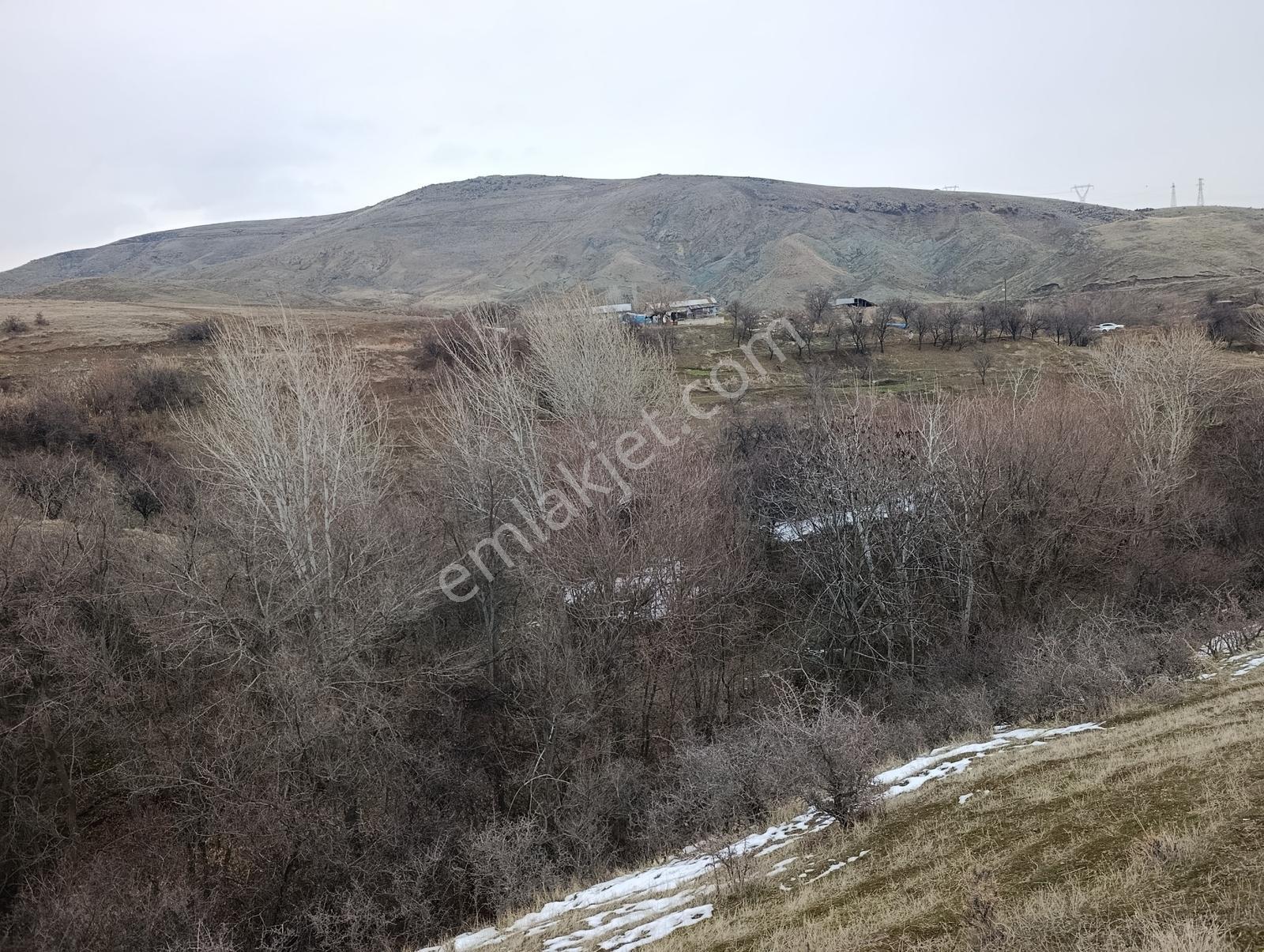 Larimar'dan Etminikte Satılık Araziler — fotoğraf 3