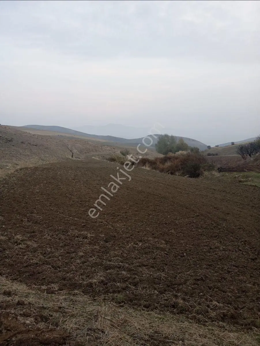 Doğukan Real Estate | Hersenk (salkaya) Merkeze 14km Uzaklıkta 944m² Tarla — fotoğraf 3