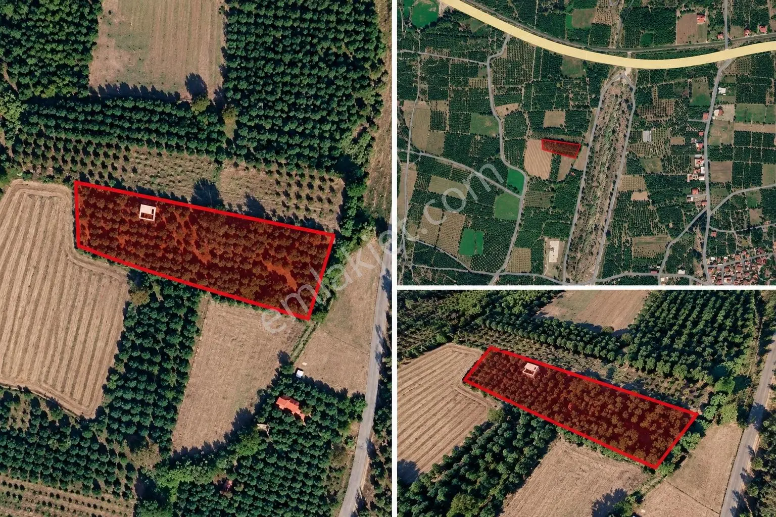 Hamzallı’da 1.040 M² Portakal Bahçesi — fotoğraf 2