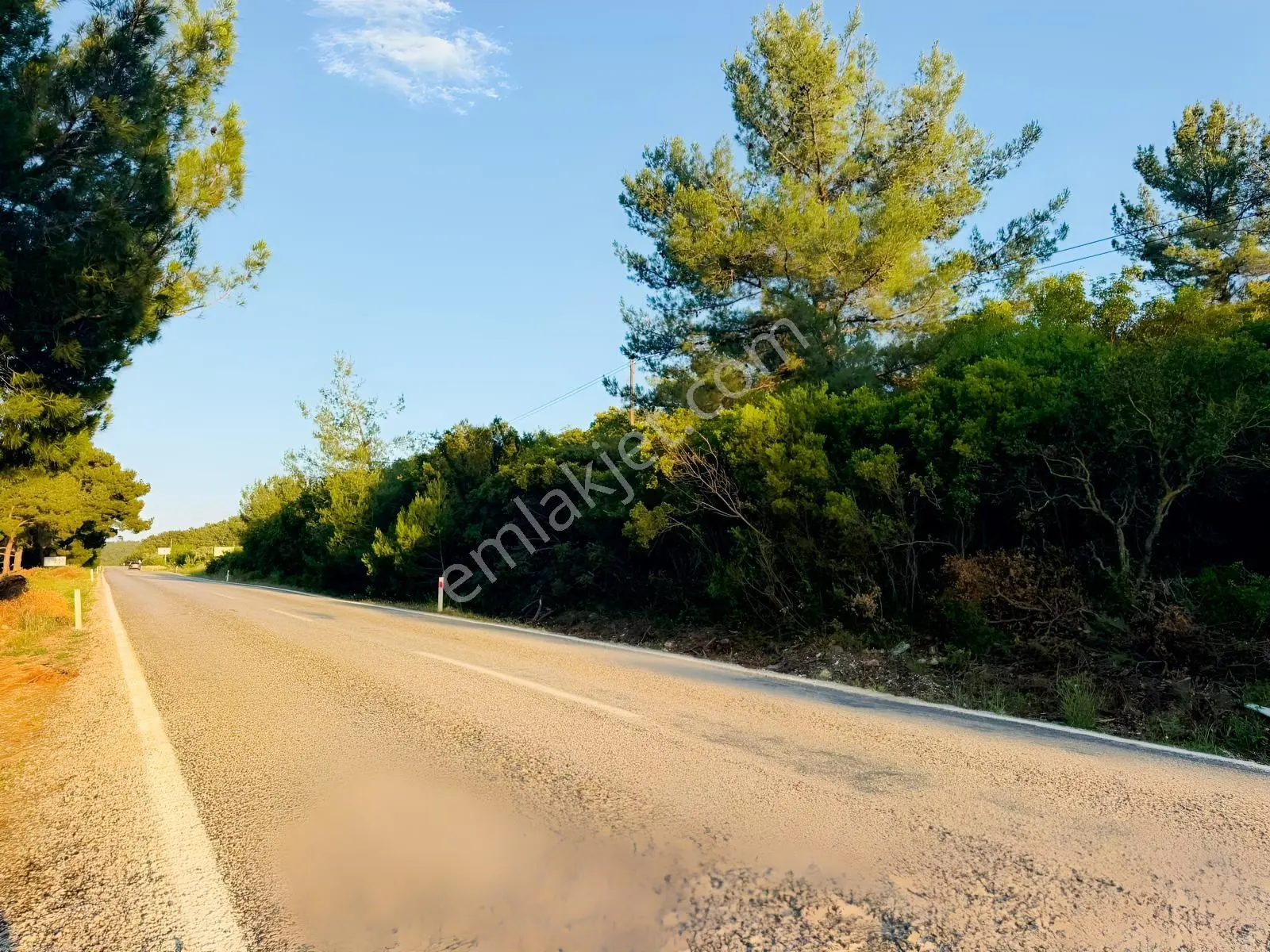 Urla Nohutalan'da Yol Cepheli Satılık Tarla — fotoğraf 5
