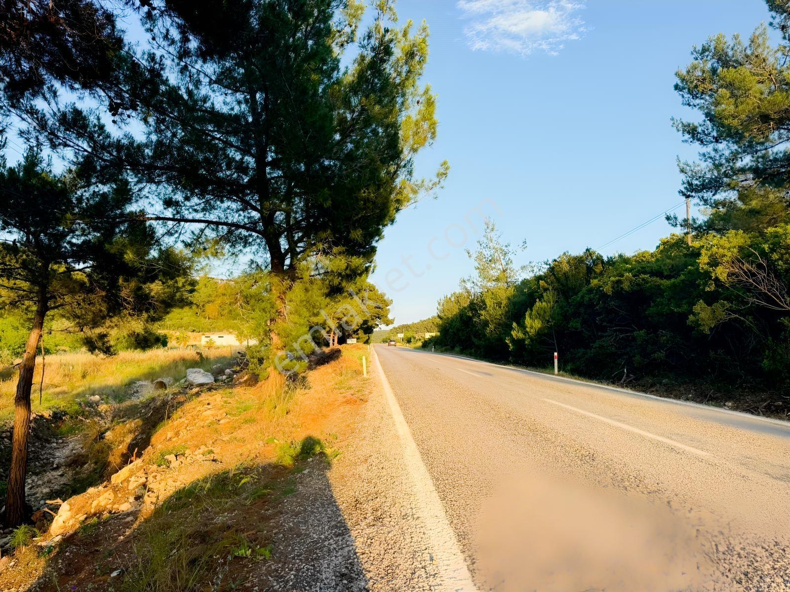 Urla Nohutalan'da Yol Cepheli Satılık Tarla — fotoğraf 6
