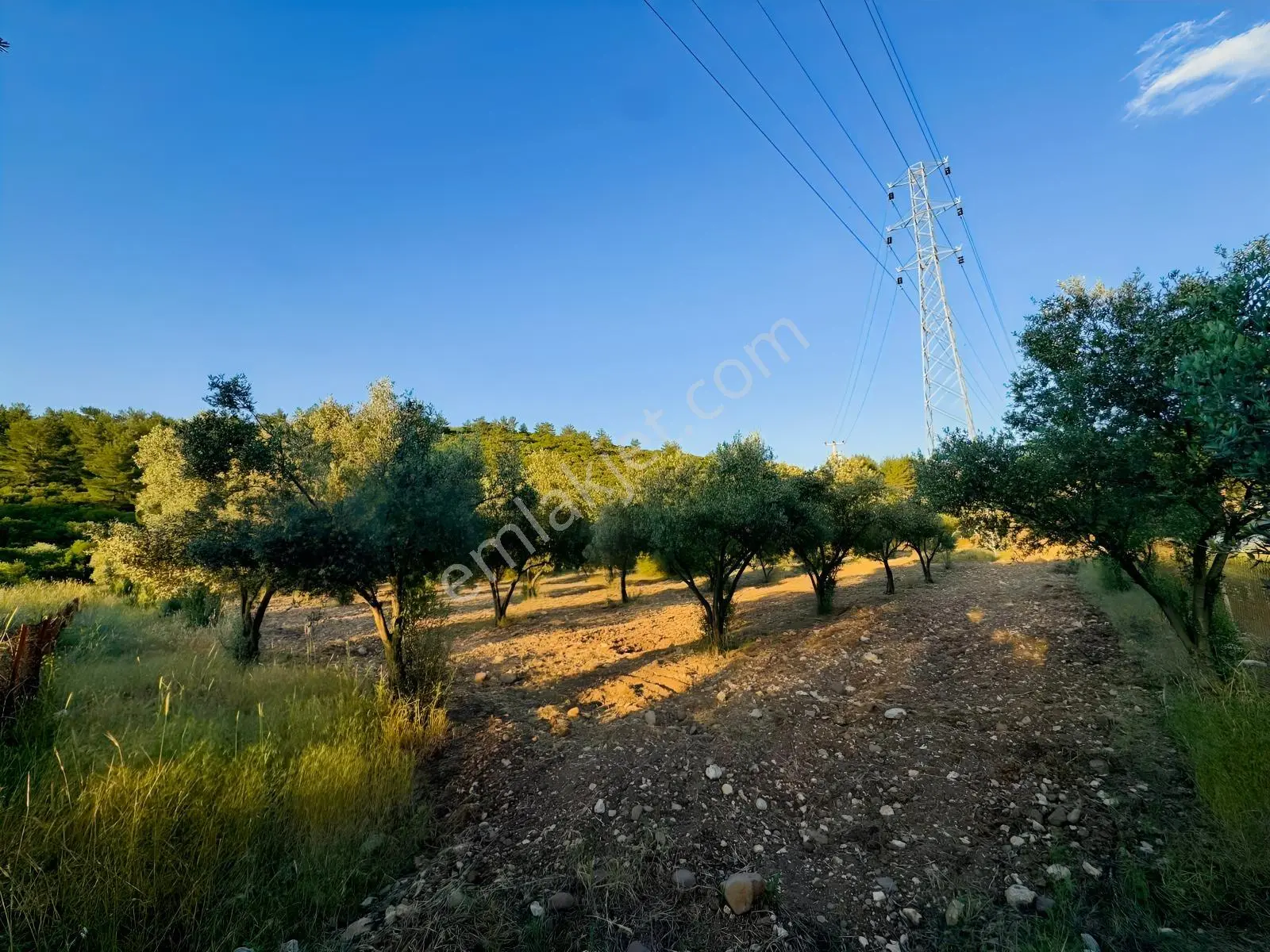 Urla Nohutalan'da Yol Cepheli Satılık Tarla — fotoğraf 7