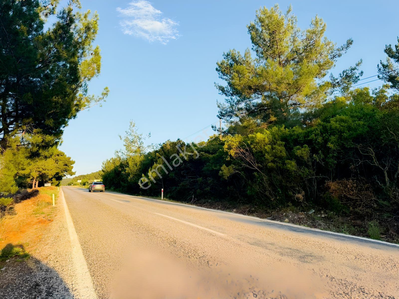 Urla Nohutalan'da Yol Cepheli Satılık Tarla — fotoğraf 8