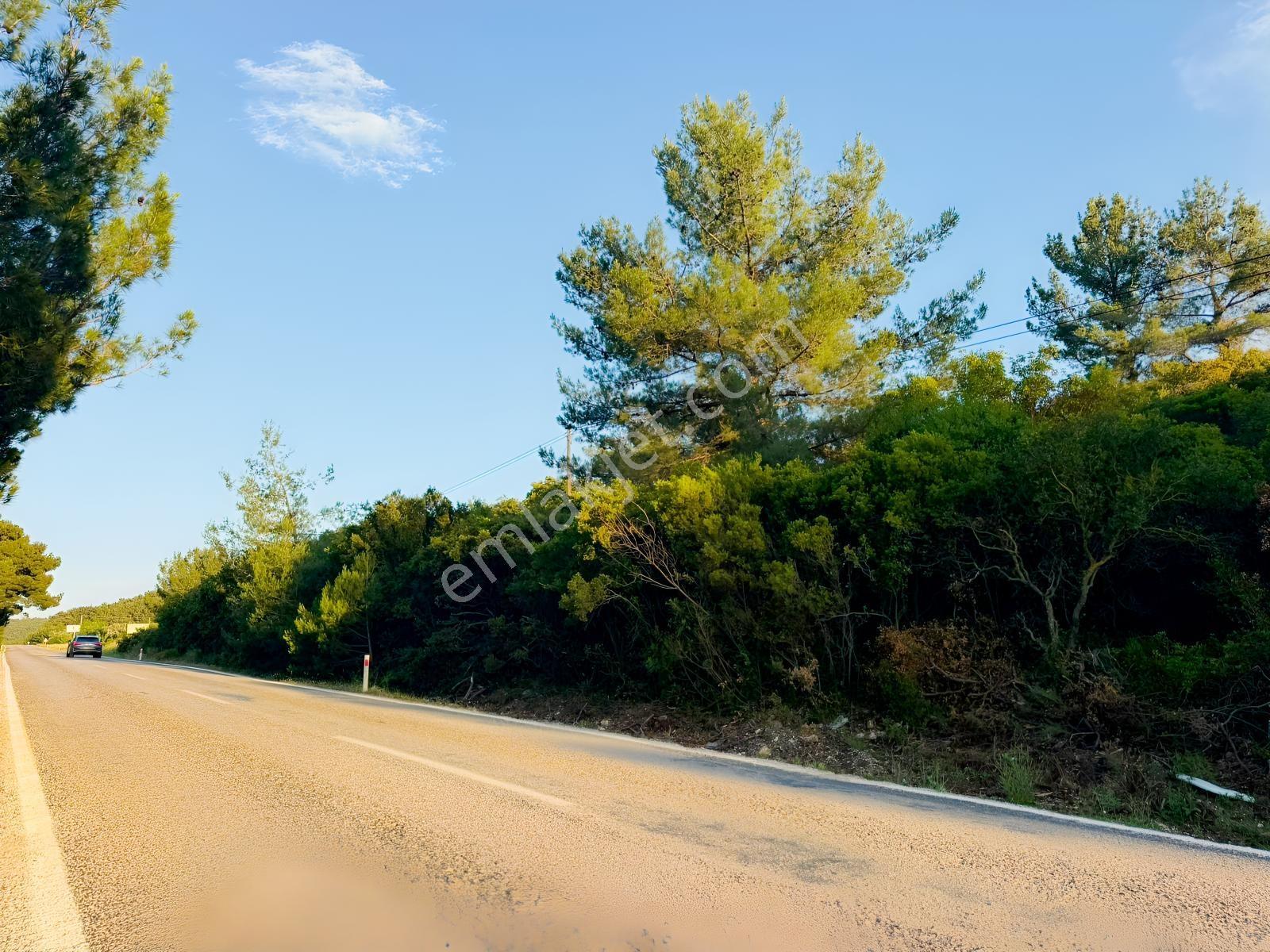 Urla Nohutalan'da Yol Cepheli Satılık Tarla — fotoğraf 10