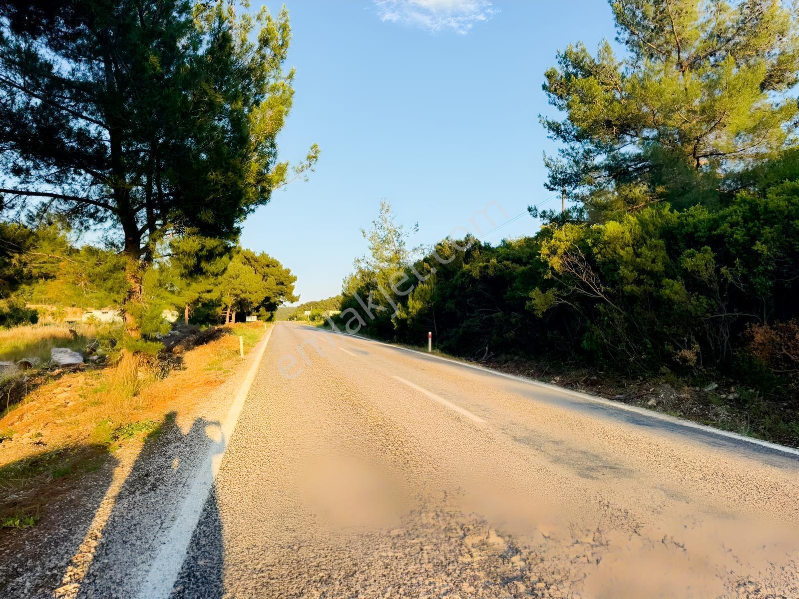 Urla Nohutalan'da Yol Cepheli Satılık Tarla — fotoğraf 19