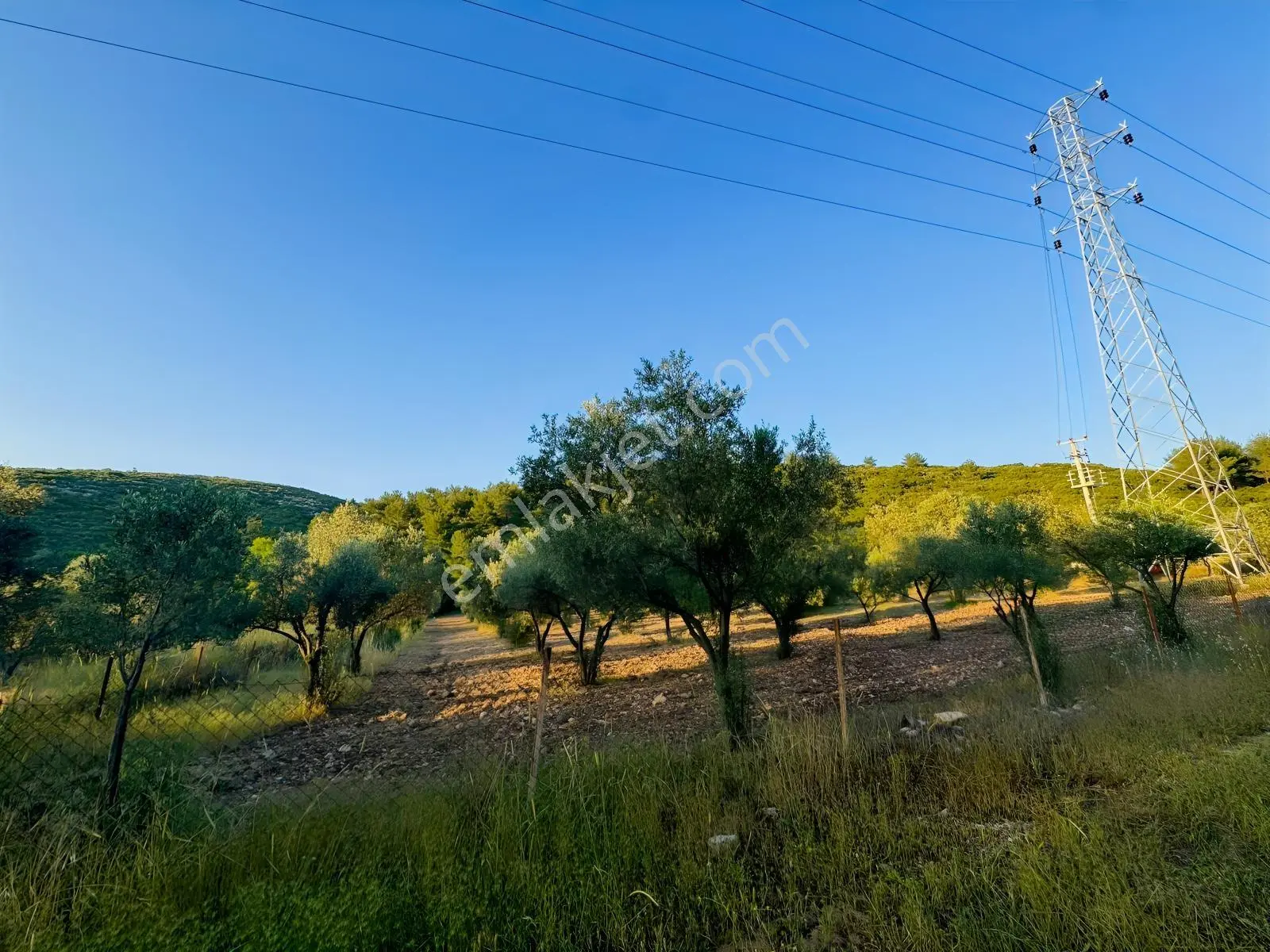 Urla Nohutalan'da Yol Cepheli Satılık Tarla — fotoğraf 21