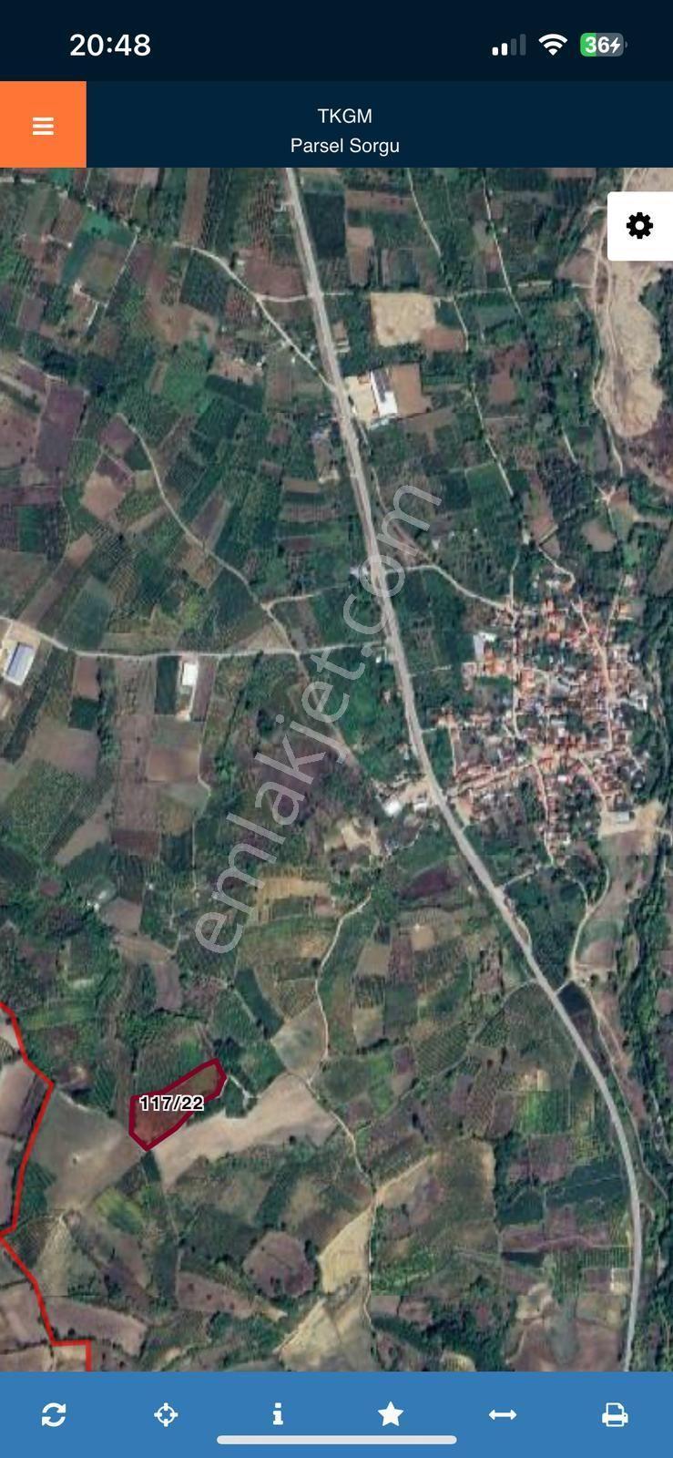 Akbaşlar Gayrimenkul Den Hamamlı Mahallesinde Satılık Meyve Bahçesi