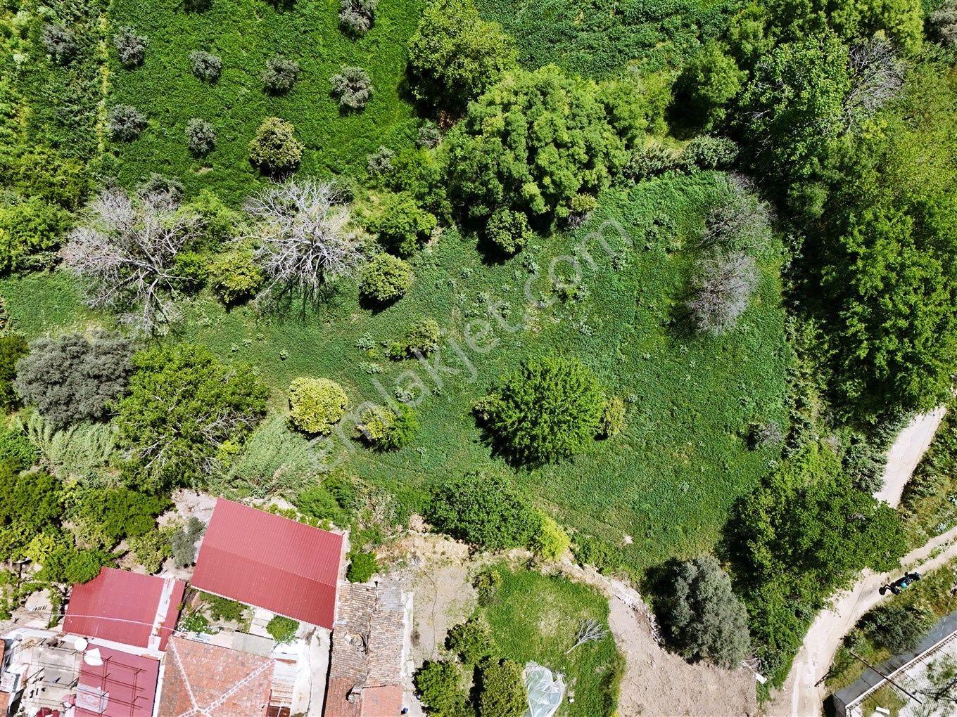 Nazilli Kestel'de 2550 M² Doğa Manzaralı Satılık Arsa — fotoğraf 10