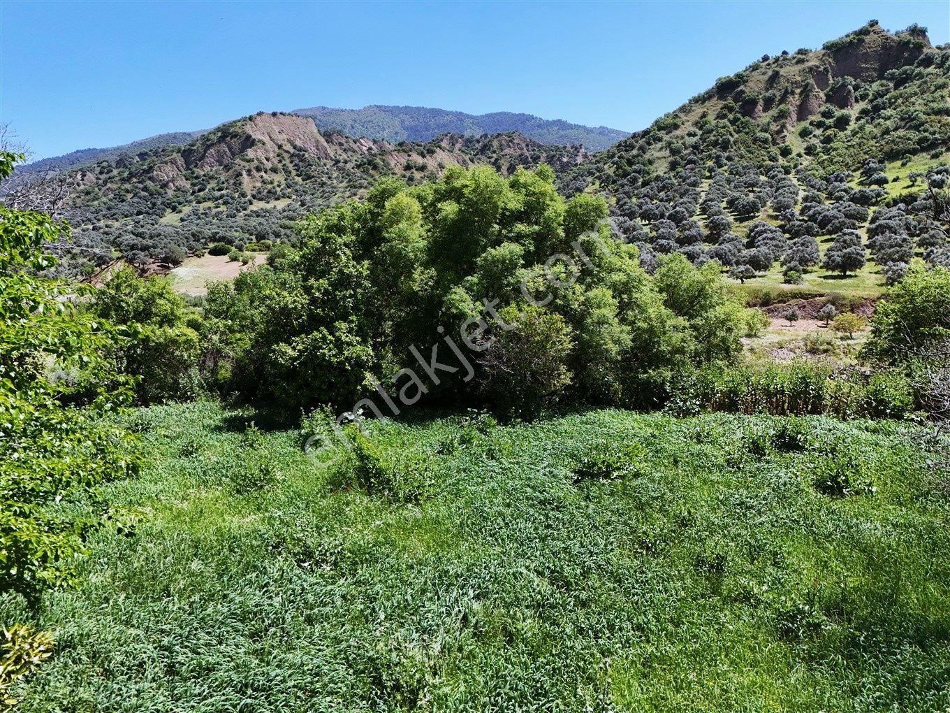 Nazilli Kestel'de 2550 M² Doğa Manzaralı Satılık Arsa — fotoğraf 11