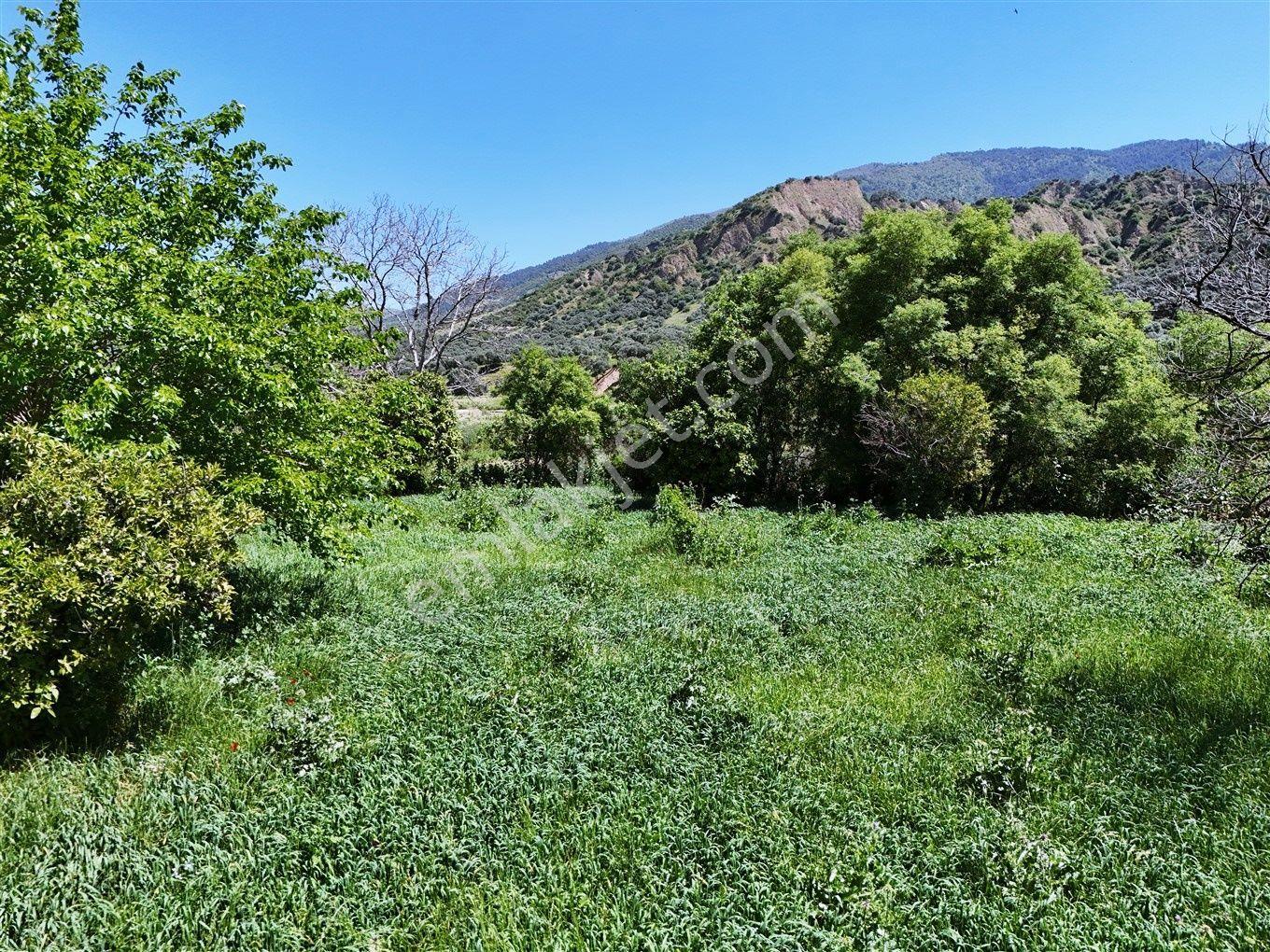 Nazilli Kestel'de 2550 M² Doğa Manzaralı Satılık Arsa — fotoğraf 12