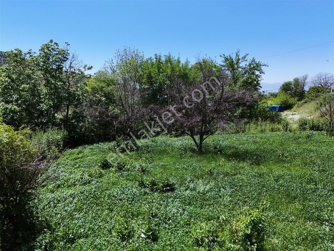Nazilli Kestel'de 2550 M² Doğa Manzaralı Satılık Arsa — fotoğraf 13