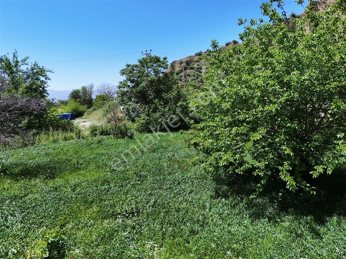 Nazilli Kestel'de 2550 M² Doğa Manzaralı Satılık Arsa — fotoğraf 14
