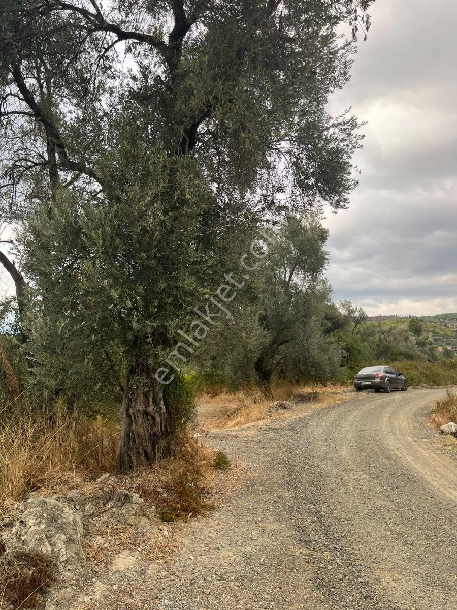 Seydikemer Güneşli Mah'de İlkon'dan Satılık Arazi — fotoğraf 4