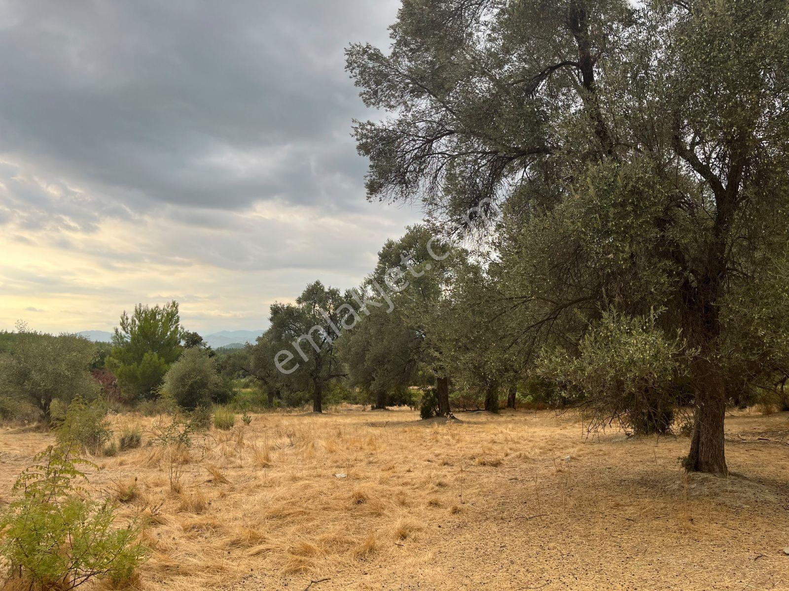 Seydikemer Güneşli Mah'de İlkon'dan Satılık Arazi — fotoğraf 9