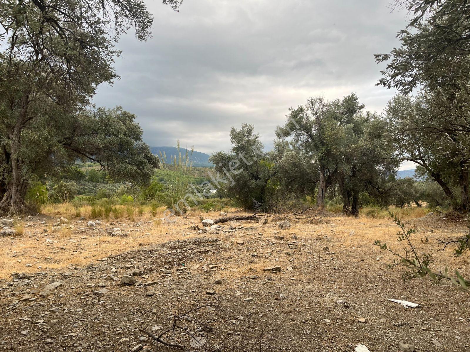 Seydikemer Güneşli Mah'de İlkon'dan Satılık Arazi — fotoğraf 10