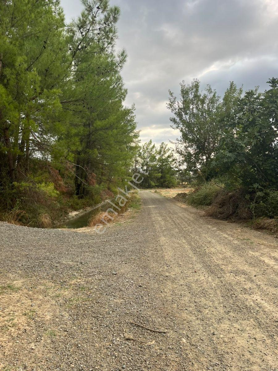 Seydikemer Güneşli Mah'de İlkon'dan Satılık Arazi — fotoğraf 11