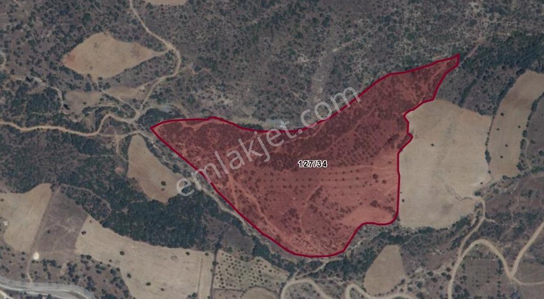 Manisa Kula 56 Dönüm Tek Tapu Satılık Fırsat Tarla