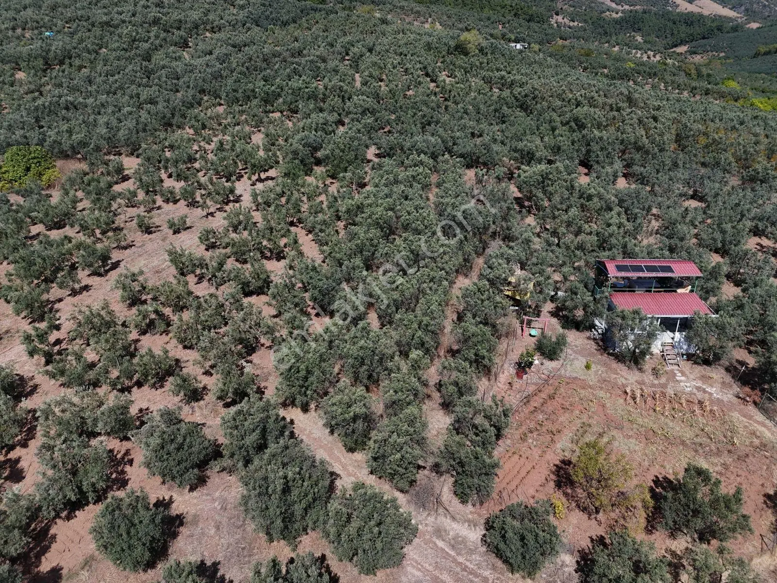 Https://www.sahibinden.com/ilan/emlak-arsa-satilik-bursa-mudanya-derekoy-de-satilik-yatirimlik-zeyti — fotoğraf 3