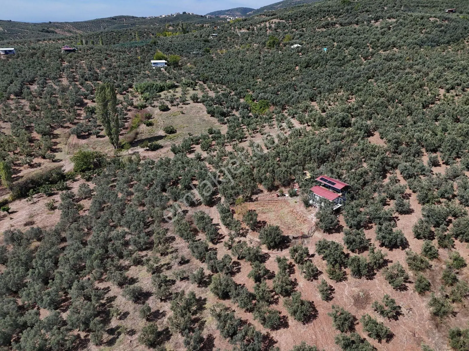 Https://www.sahibinden.com/ilan/emlak-arsa-satilik-bursa-mudanya-derekoy-de-satilik-yatirimlik-zeyti — fotoğraf 5