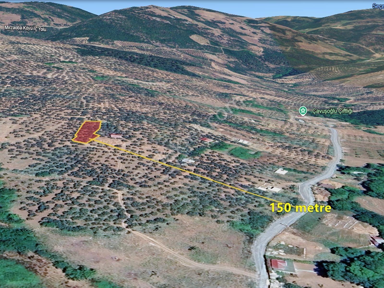 Https://www.sahibinden.com/ilan/emlak-arsa-satilik-bursa-mudanya-derekoy-de-satilik-yatirimlik-zeyti — fotoğraf 24
