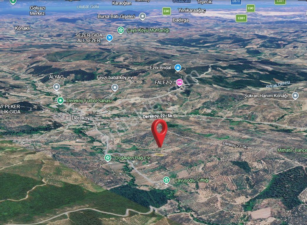 Https://www.sahibinden.com/ilan/emlak-arsa-satilik-bursa-mudanya-derekoy-de-satilik-yatirimlik-zeyti — fotoğraf 30