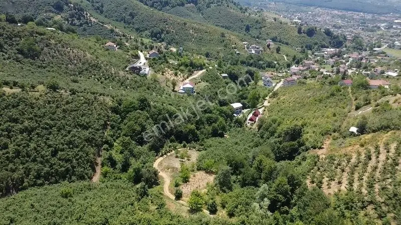 Kuzuluk Orta Mahallede 1.5 Dönüm Fırsat Arsa — fotoğraf 2