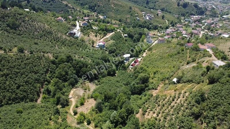 Kuzuluk Orta Mahallede 1.5 Dönüm Fırsat Arsa — fotoğraf 4