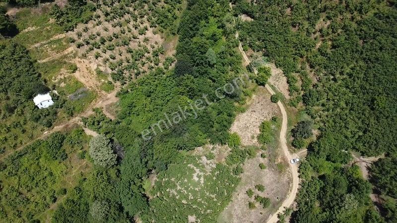 Kuzuluk Orta Mahallede 1.5 Dönüm Fırsat Arsa — fotoğraf 6