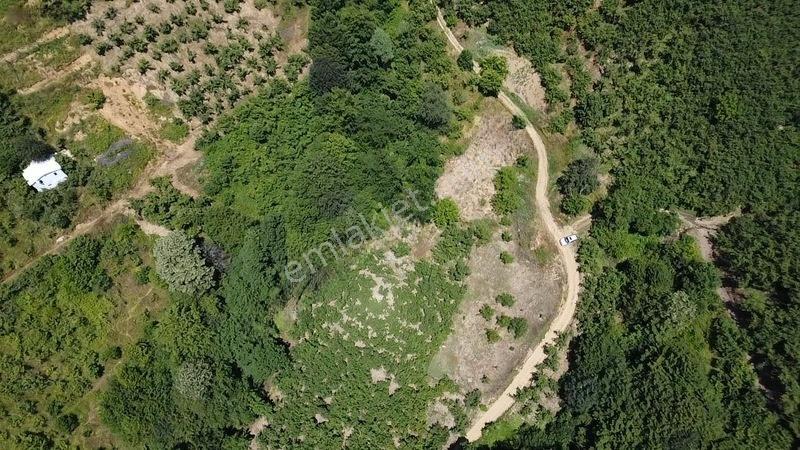 Kuzuluk Orta Mahallede 1.5 Dönüm Fırsat Arsa — fotoğraf 7