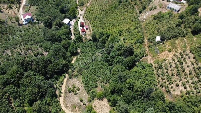Kuzuluk Orta Mahallede 1.5 Dönüm Fırsat Arsa — fotoğraf 9