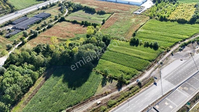 Ana Yol Kenarı 888 M2 Fırsat Tarla — fotoğraf 3