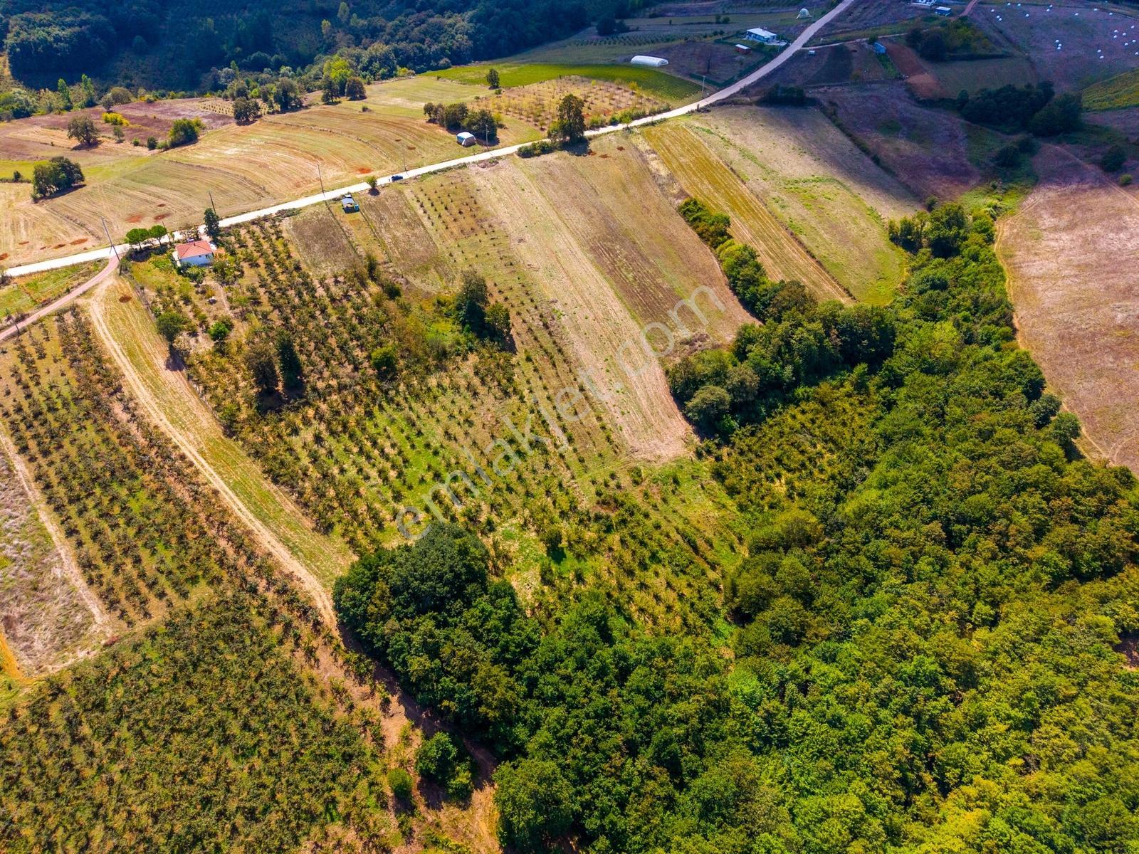 Kandıra Hüdaverdiler'De Asfalta 1 Parsel Yol Hakkı Olan 3.753M²