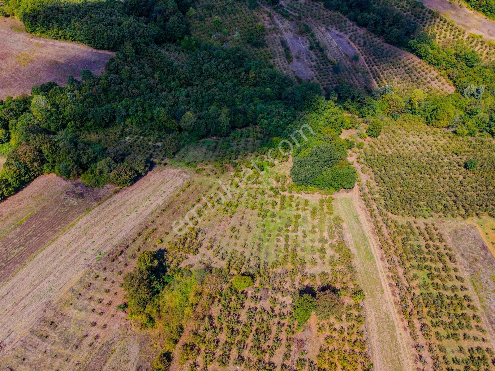 Kandıra Hüdaverdiler'de Asfalta 1 Parsel Yol Hakkı Olan 3.753m² — fotoğraf 7