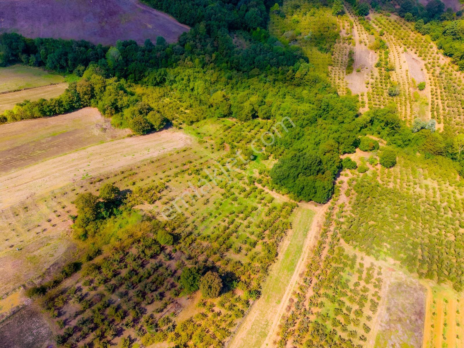 Kandıra Hüdaverdiler'de Asfalta 1 Parsel Yol Hakkı Olan 3.753m² — fotoğraf 8