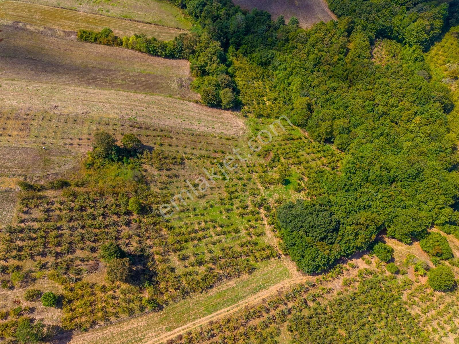 Kandıra Hüdaverdiler'de Asfalta 1 Parsel Yol Hakkı Olan 3.753m² — fotoğraf 9