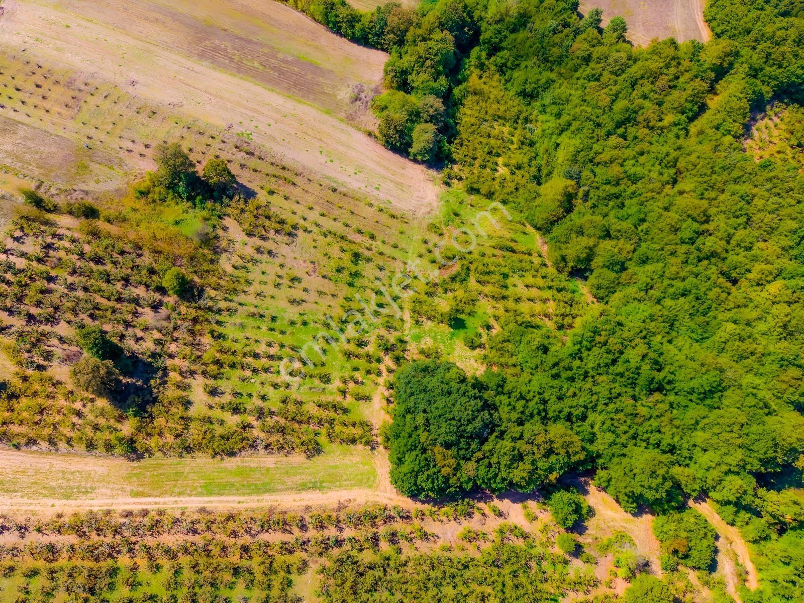 Kandıra Hüdaverdiler'de Asfalta 1 Parsel Yol Hakkı Olan 3.753m² — fotoğraf 10