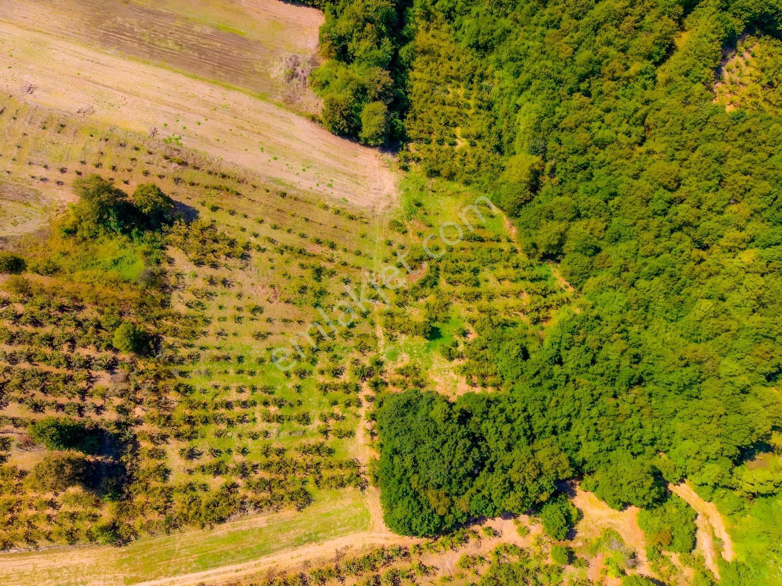 Kandıra Hüdaverdiler'de Asfalta 1 Parsel Yol Hakkı Olan 3.753m² — fotoğraf 11